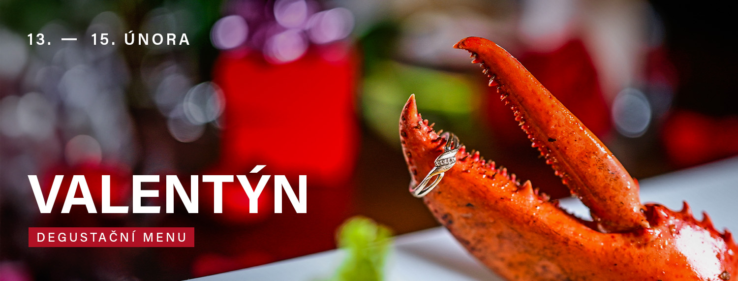 Svatomartinské hody v Monte Bú